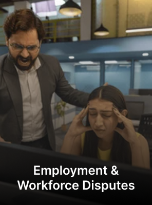 Business & Operational Disputes